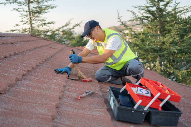 Roof Gutter Cleaning in Stony Brook, NY